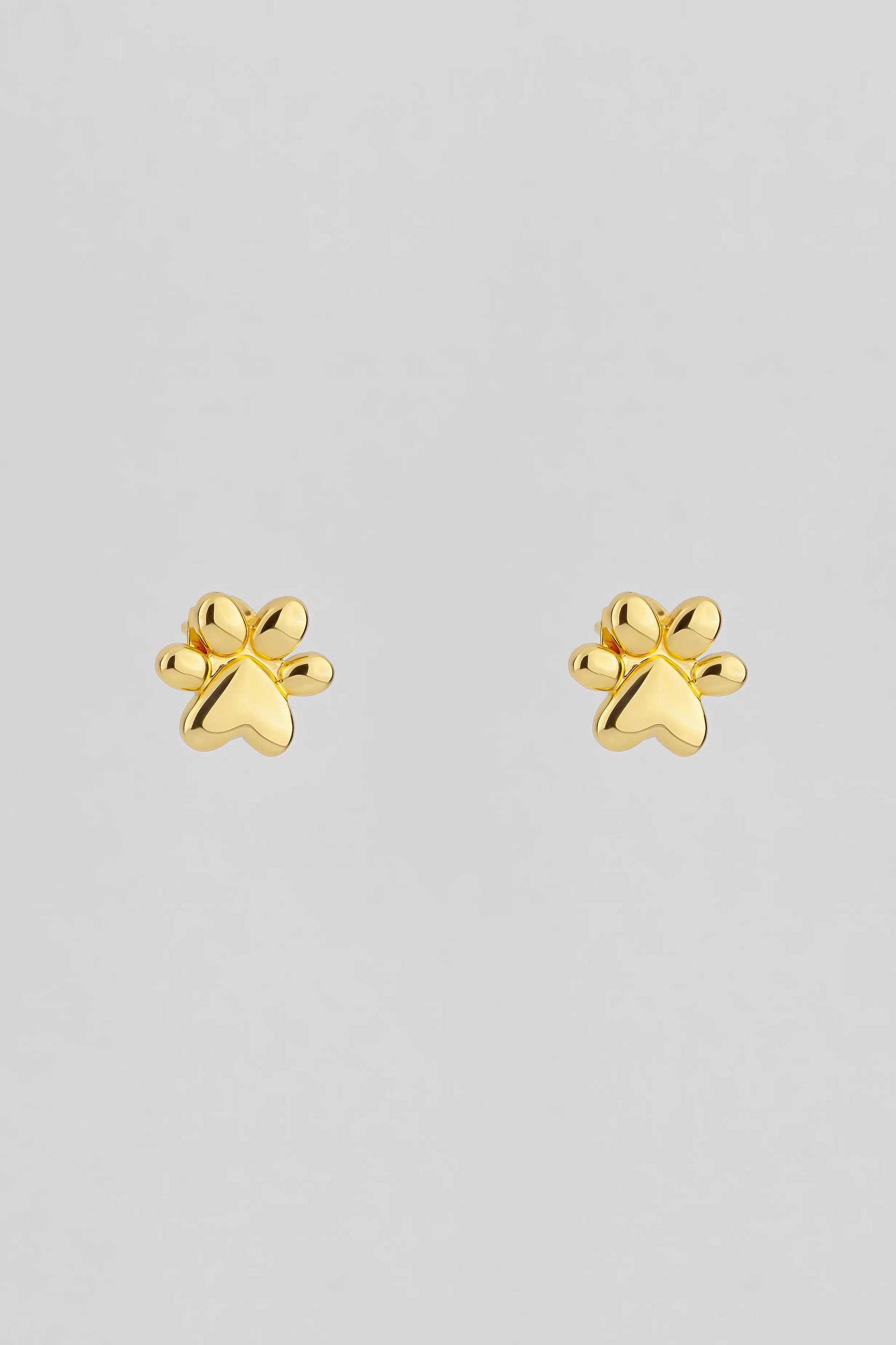 PENDIENTES PUSETS PACTO DE LA TIERRA