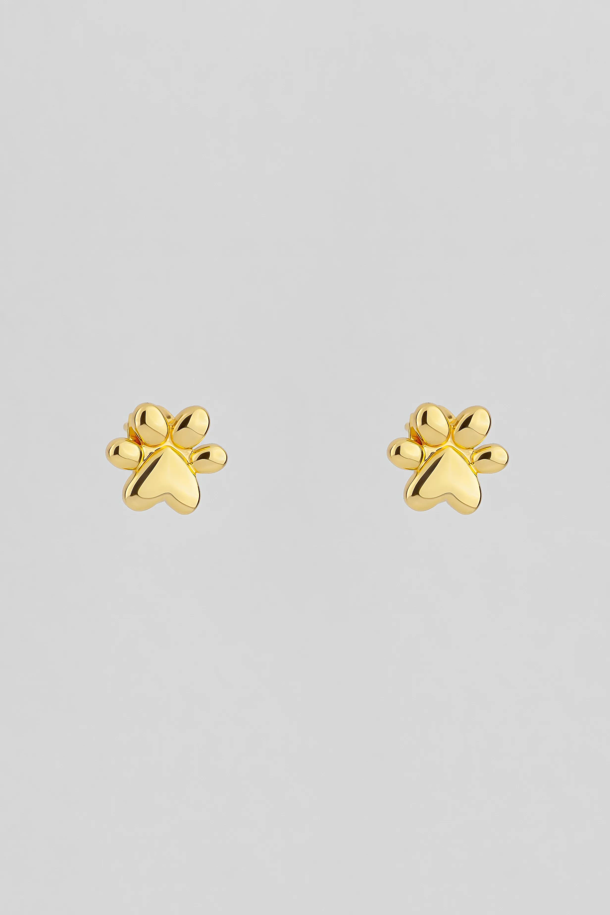 PENDIENTES PUSETS PACTO DE LA TIERRA превью 1