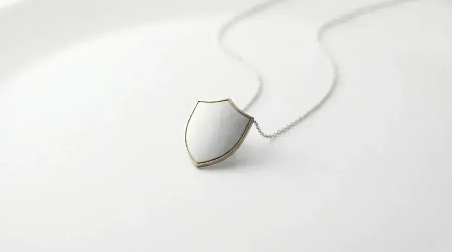 Das Schild im Schmuck: Bedeutung des Schutzsymbols, Geschichte und Heraldik