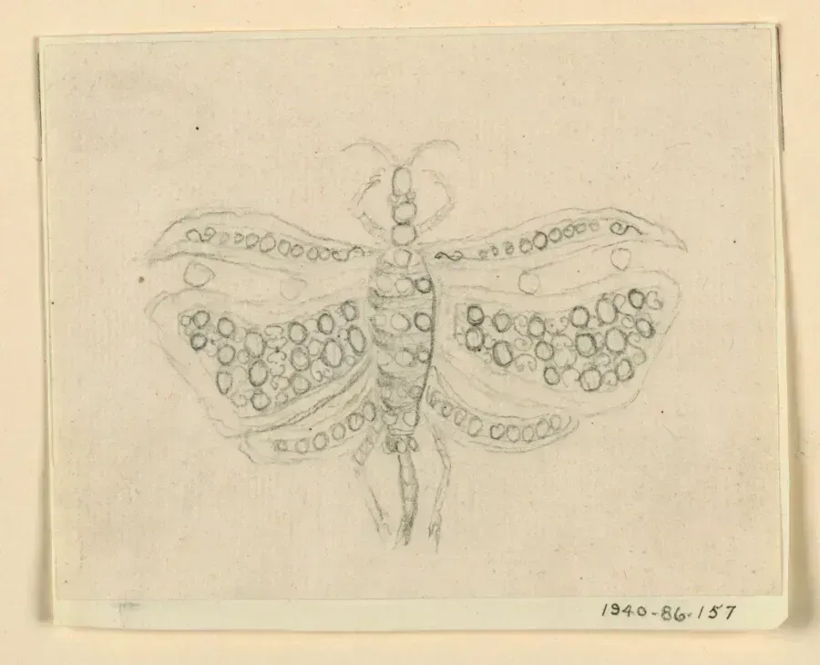 Dessin pour une broche-papillon, 1830-40, Cooper Hewitt