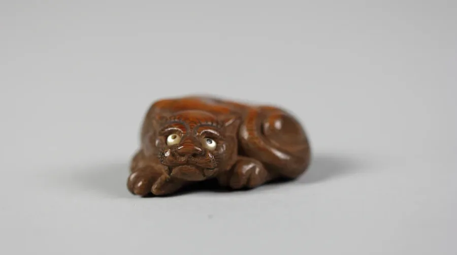 Wood in jewelry: species, rings, care and history