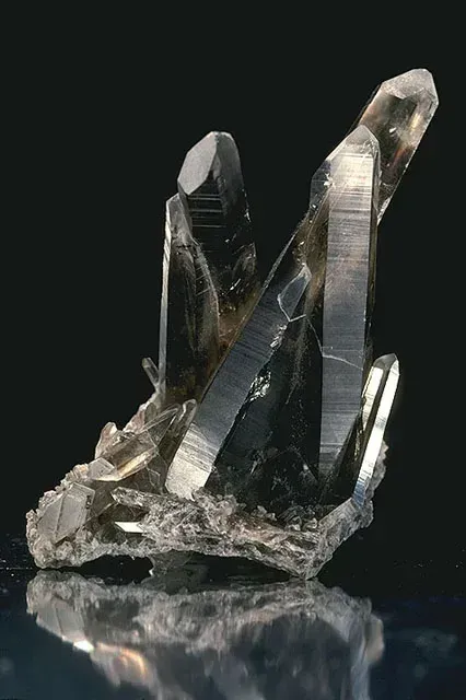 A natural cluster of smoky quartz with clear-smoky prismatic crystals on a dark background