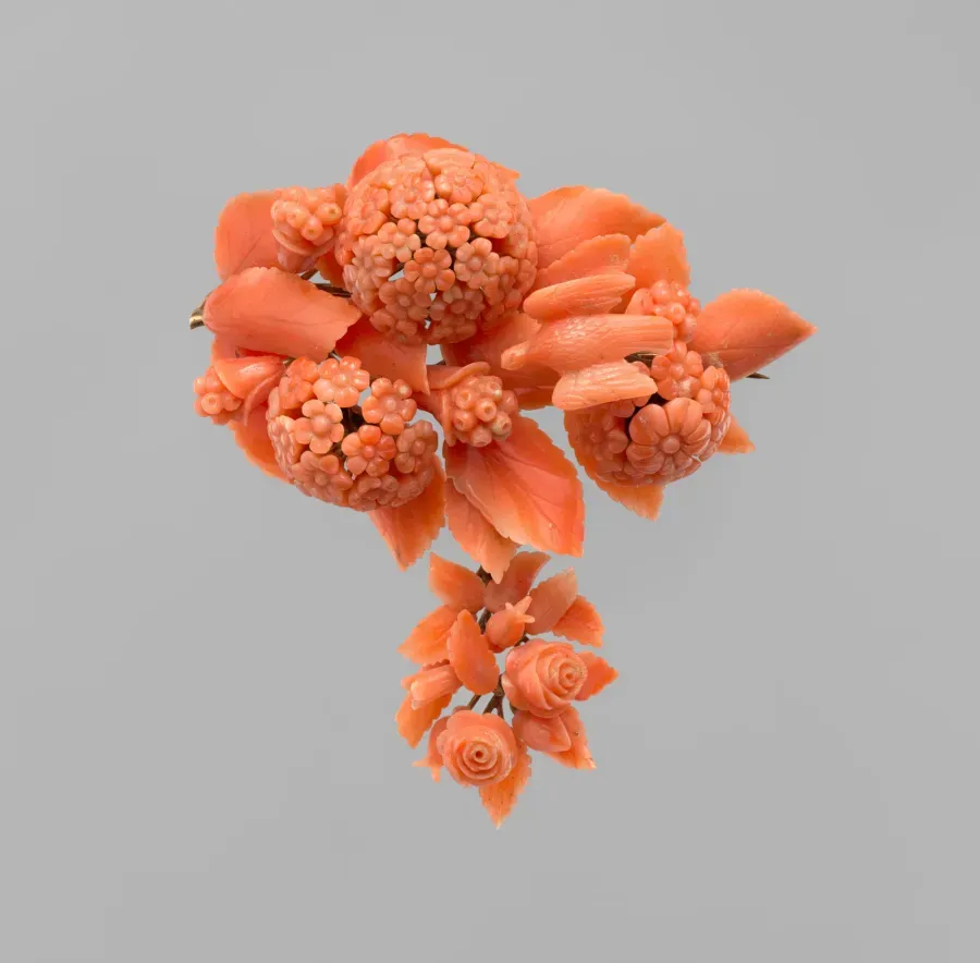 Corail rouge de luxe : histoire d'un materiau royal, sa rarete et comment reconnaitre le vrai