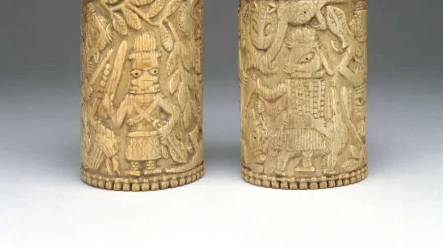 Tagua: l'avorio vegetale per cui non muore nessun elefante