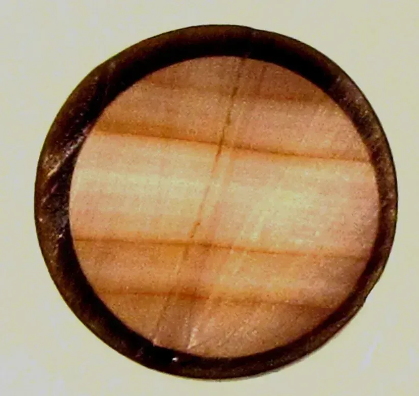 Tahitian black pearl in cross-section: dark nacreous surface and nacre layers around the nucleus
